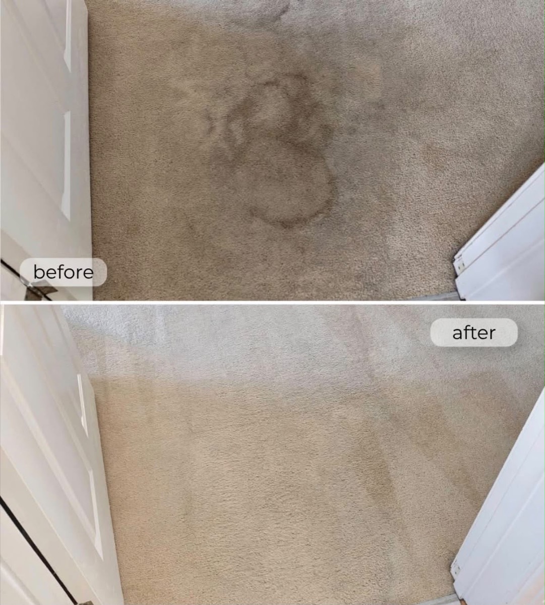 Before and after comparison of a stained doorway carpet, spotless after steam cleaning