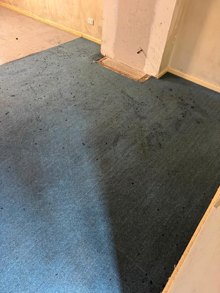 Soiled teal office carpet before commercial cleaning