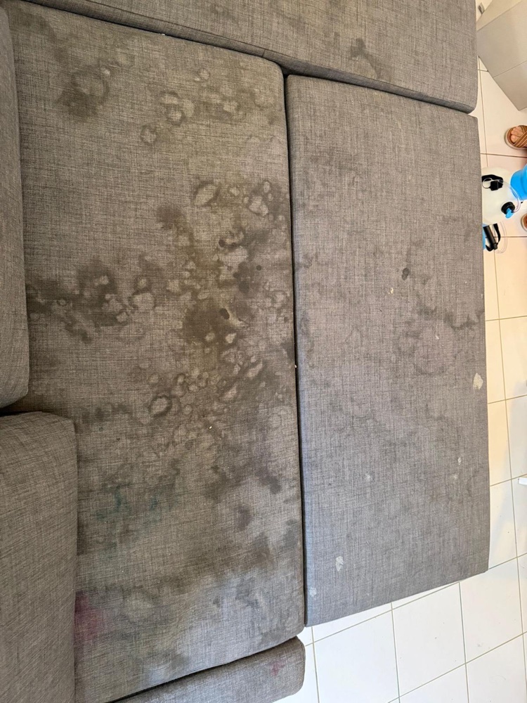 Grey sofa bed with heavy staining across the seat cushions before cleaning