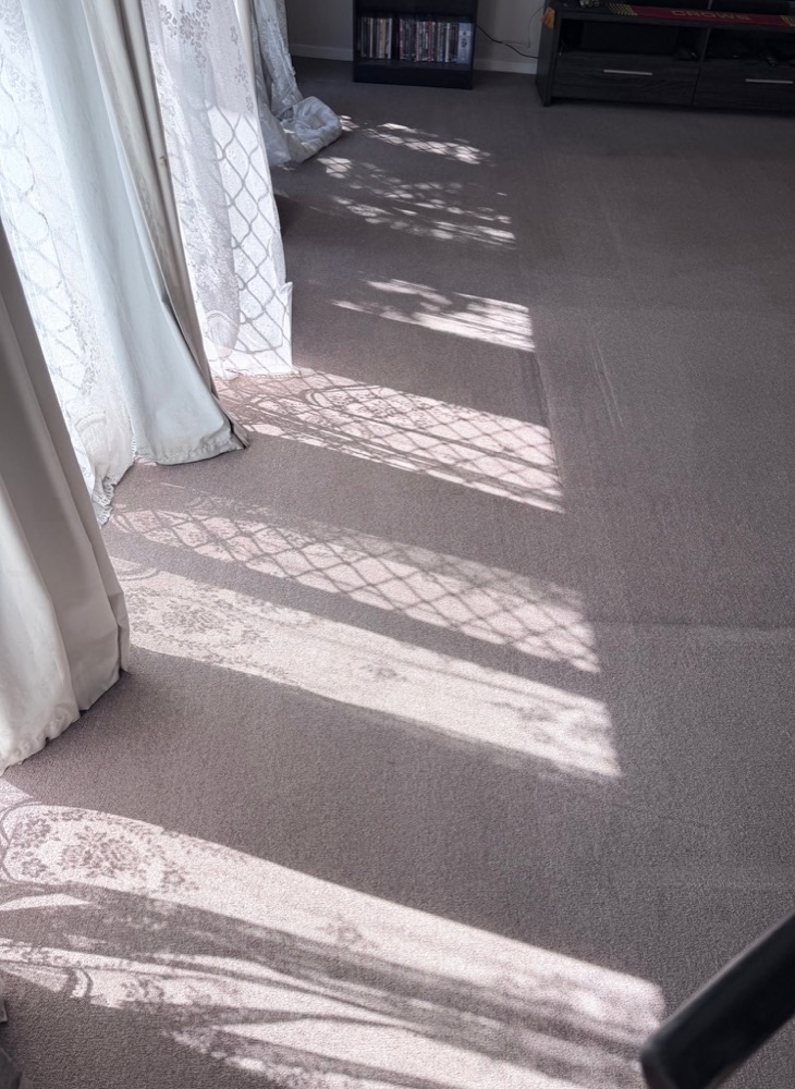 Lounge room carpet — fresh and even after cleaning