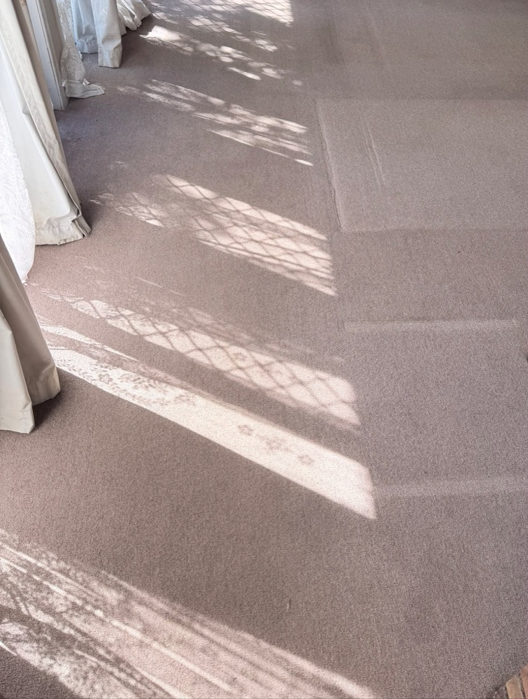 Well-maintained wool carpet in a sunlit Melbourne living room