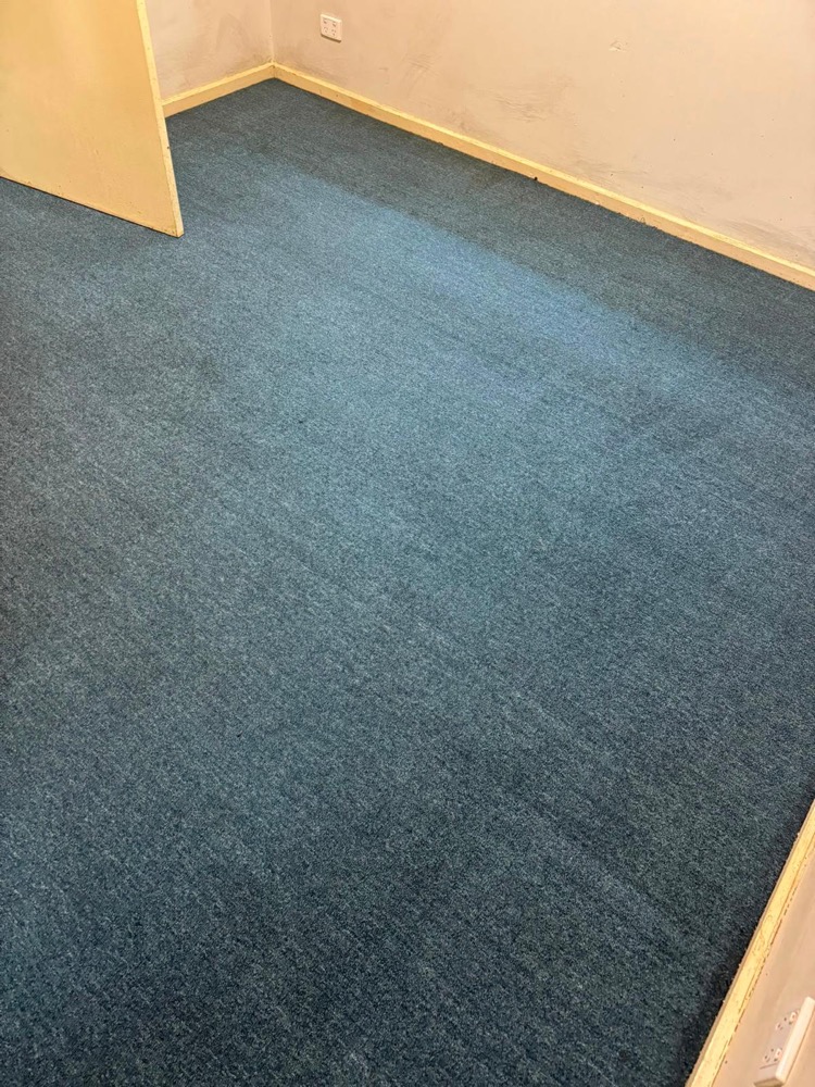 Commercial office carpet freshly steam cleaned