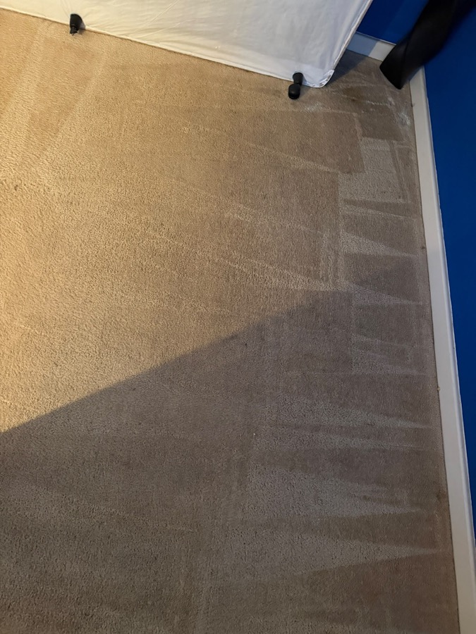 Carpet half cleaned showing dramatic stain removal line