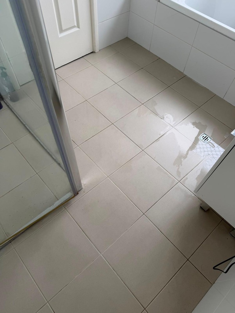 Bathroom floor tiles gleaming after tile and grout cleaning