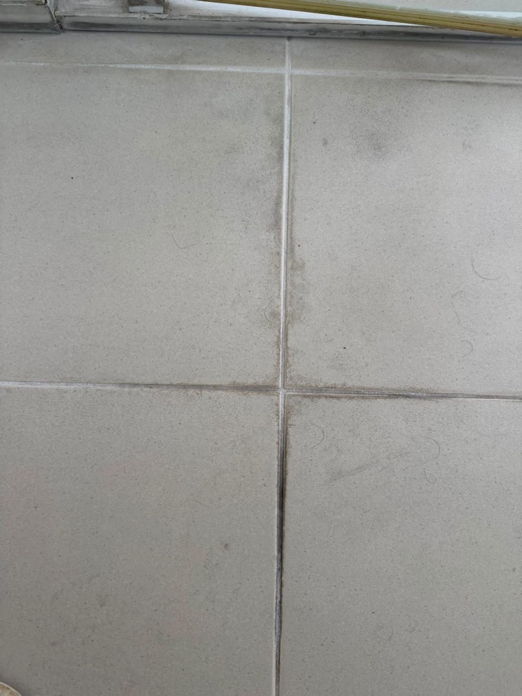 Floor tiles with dark grimy grout lines before cleaning